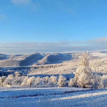 Nature Homestay Trenčín Екстериор снимка