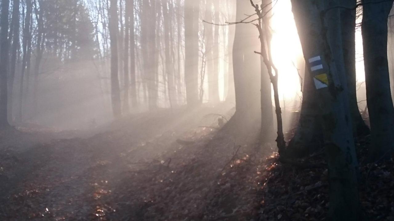 Nature Homestay Trenčín Екстериор снимка