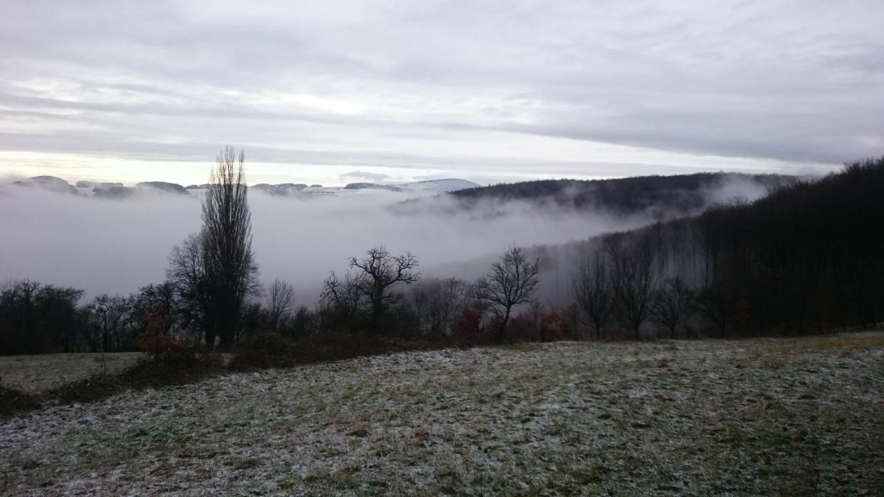 Nature Homestay Trenčín Екстериор снимка