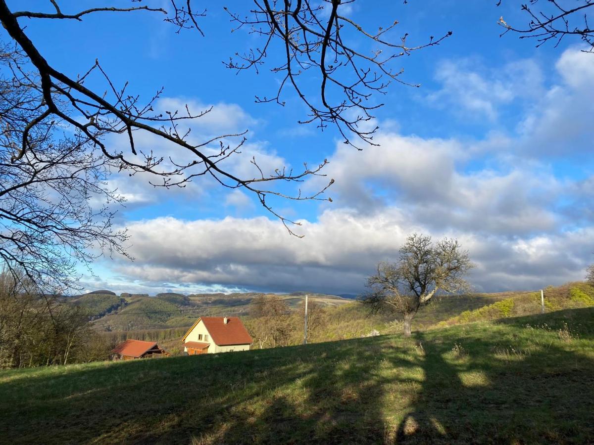 Nature Homestay Trenčín Екстериор снимка