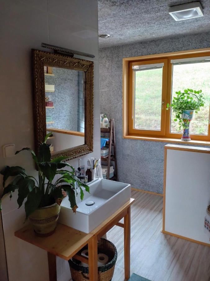 Nature Homestay Trenčín Екстериор снимка
