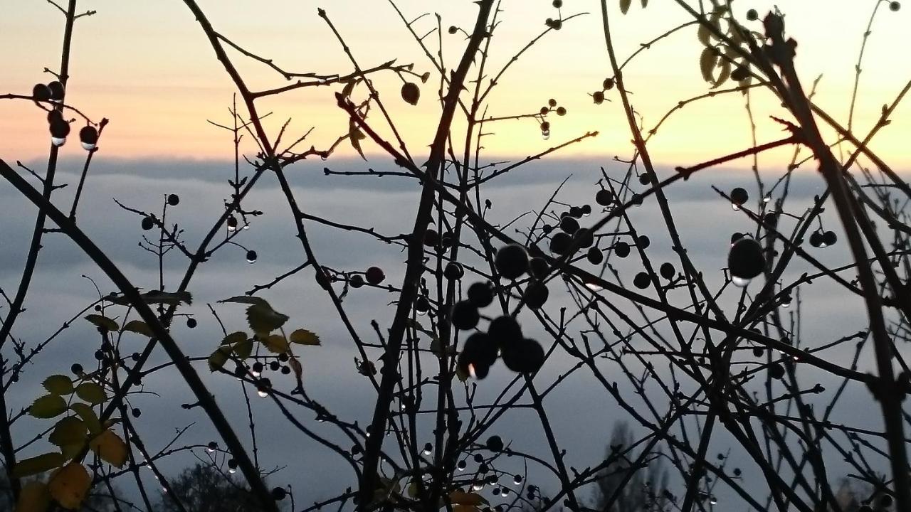 Nature Homestay Trenčín Екстериор снимка