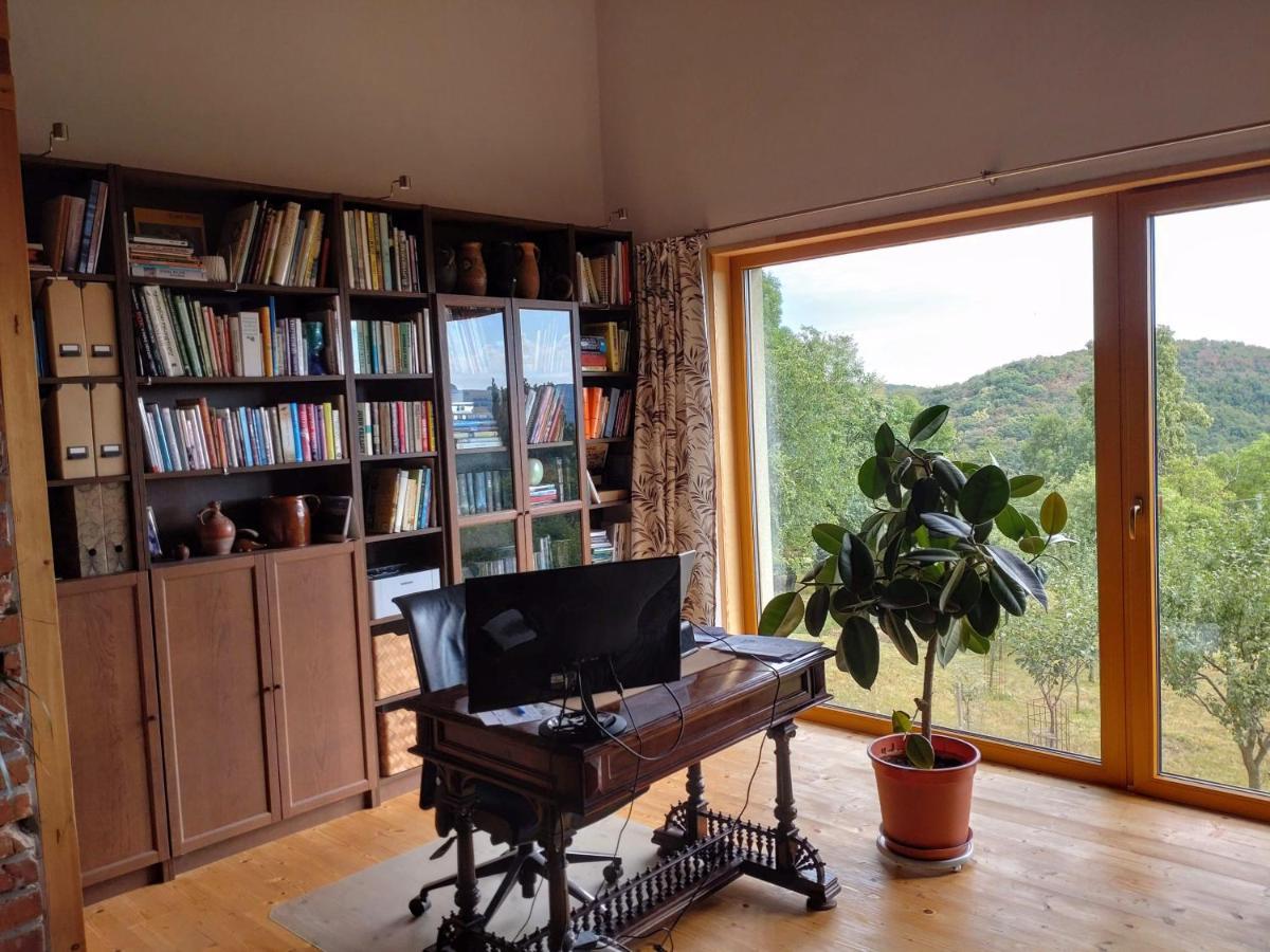 Nature Homestay Trenčín Екстериор снимка