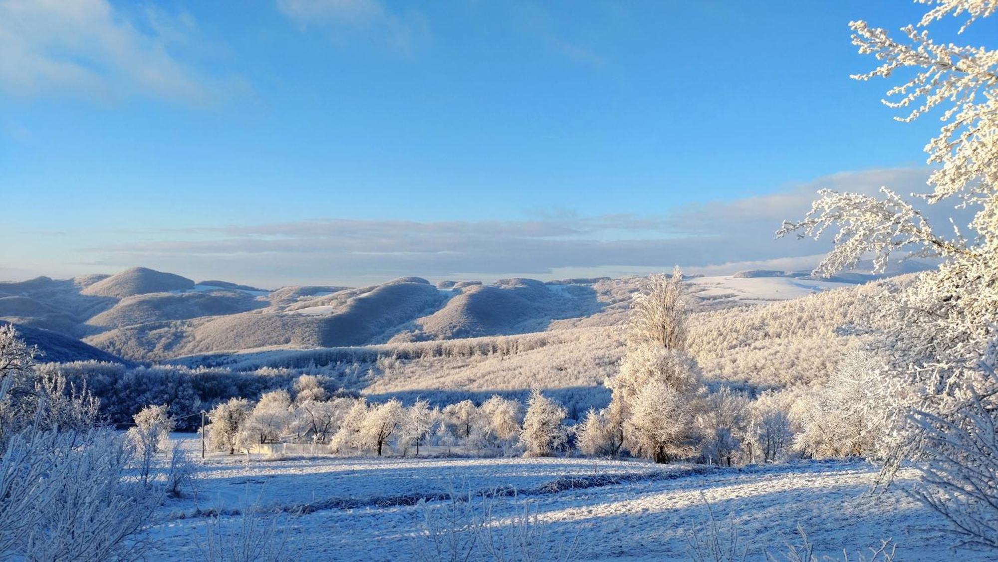 Nature Homestay Trenčín Екстериор снимка